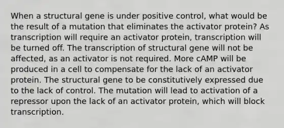 When a structural gene is under positive control, what would be the result of a mutation that eliminates the activator protein? As transcription will require an activator protein, transcription will be turned off. The transcription of structural gene will not be affected, as an activator is not required. More cAMP will be produced in a cell to compensate for the lack of an activator protein. The structural gene to be constitutively expressed due to the lack of control. The mutation will lead to activation of a repressor upon the lack of an activator protein, which will block transcription.