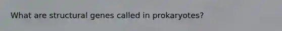 What are structural genes called in prokaryotes?