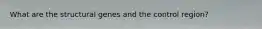 What are the structural genes and the control region?