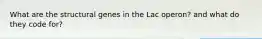 What are the structural genes in the Lac operon? and what do they code for?