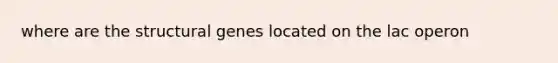 where are the structural genes located on the lac operon