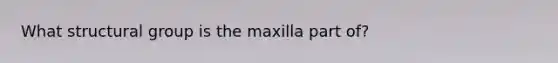 What structural group is the maxilla part of?