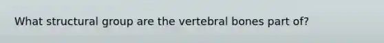 What structural group are the vertebral bones part of?