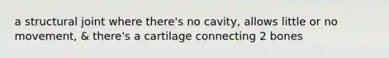 a structural joint where there's no cavity, allows little or no movement, & there's a cartilage connecting 2 bones