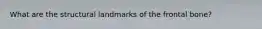 What are the structural landmarks of the frontal bone?