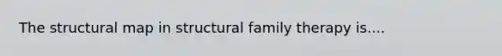 The structural map in structural family therapy is....