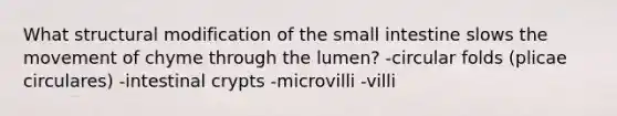 What structural modification of the small intestine slows the movement of chyme through the lumen? -circular folds (plicae circulares) -intestinal crypts -microvilli -villi