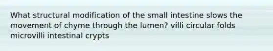 What structural modification of the small intestine slows the movement of chyme through the lumen? villi circular folds microvilli intestinal crypts