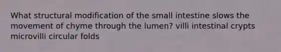 What structural modification of the small intestine slows the movement of chyme through the lumen? villi intestinal crypts microvilli circular folds