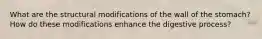 What are the structural modifications of the wall of the stomach? How do these modifications enhance the digestive process?