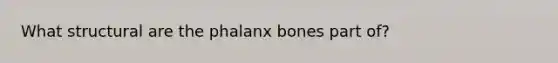 What structural are the phalanx bones part of?