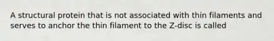 A structural protein that is not associated with thin filaments and serves to anchor the thin filament to the Z-disc is called