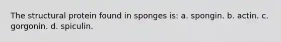 The structural protein found in sponges is: a. spongin. b. actin. c. gorgonin. d. spiculin.