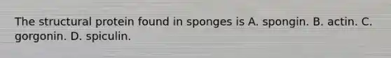 The structural protein found in sponges is A. spongin. B. actin. C. gorgonin. D. spiculin.