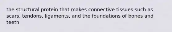 the structural protein that makes connective tissues such as scars, tendons, ligaments, and the foundations of bones and teeth