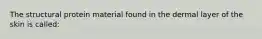 The structural protein material found in the dermal layer of the skin is called: