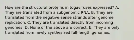 How are the structural proteins in togaviruses expressed? A. They are translated from a subgenomic RNA. B. They are translated from the negative-sense strands after genome replication. C. They are translated directly from incoming genomes. D. None of the above are correct. E. They are only translated from newly synthesized full-length genomes.