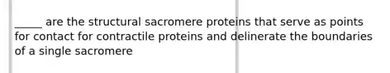 _____ are the structural sacromere proteins that serve as points for contact for contractile proteins and delinerate the boundaries of a single sacromere