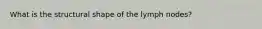 What is the structural shape of the lymph nodes?