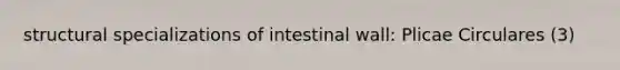 structural specializations of intestinal wall: Plicae Circulares (3)