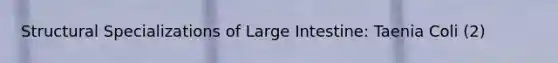 Structural Specializations of Large Intestine: Taenia Coli (2)