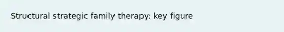 Structural strategic family therapy: key figure