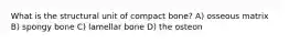 What is the structural unit of compact bone? A) osseous matrix B) spongy bone C) lamellar bone D) the osteon