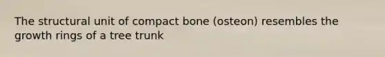 The structural unit of compact bone (osteon) resembles the growth rings of a tree trunk