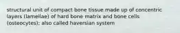 structural unit of compact bone tissue made up of concentric layers (lamellae) of hard bone matrix and bone cells (osteocytes); also called haversian system