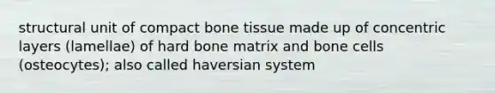 structural unit of compact bone tissue made up of concentric layers (lamellae) of hard bone matrix and bone cells (osteocytes); also called haversian system