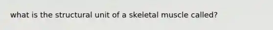 what is the structural unit of a skeletal muscle called?