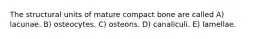 The structural units of mature compact bone are called A) lacunae. B) osteocytes. C) osteons. D) canaliculi. E) lamellae.