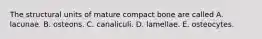 The structural units of mature compact bone are called A. lacunae. B. osteons. C. canaliculi. D. lamellae. E. osteocytes.