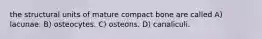 the structural units of mature compact bone are called A) lacunae. B) osteocytes. C) osteons. D) canaliculi.