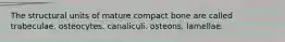 The structural units of mature compact bone are called trabeculae. osteocytes. canaliculi. osteons. lamellae.