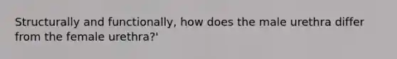 Structurally and functionally, how does the male urethra differ from the female urethra?'