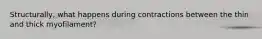 Structurally, what happens during contractions between the thin and thick myofilament?