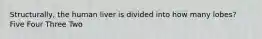 Structurally, the human liver is divided into how many lobes? Five Four Three Two