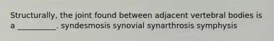 Structurally, the joint found between adjacent vertebral bodies is a __________. syndesmosis synovial synarthrosis symphysis