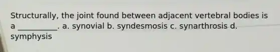 Structurally, the joint found between adjacent vertebral bodies is a __________. a. synovial b. syndesmosis c. synarthrosis d. symphysis