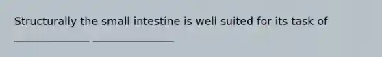 Structurally the small intestine is well suited for its task of ______________ _______________