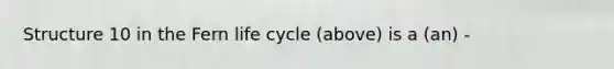 Structure 10 in the Fern life cycle (above) is a (an) -