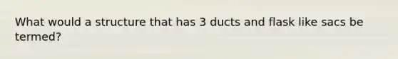 What would a structure that has 3 ducts and flask like sacs be termed?