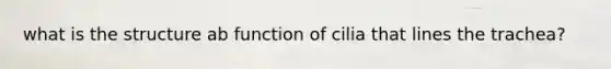 what is the structure ab function of cilia that lines the trachea?