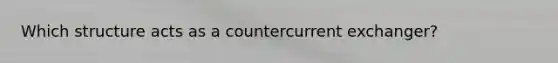 Which structure acts as a countercurrent exchanger?