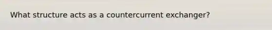 What structure acts as a countercurrent exchanger?