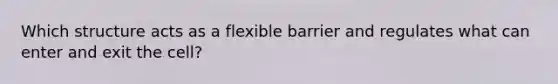 Which structure acts as a flexible barrier and regulates what can enter and exit the cell?