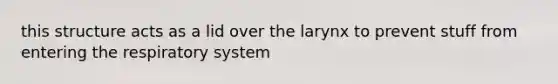 this structure acts as a lid over the larynx to prevent stuff from entering the respiratory system