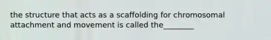 the structure that acts as a scaffolding for chromosomal attachment and movement is called the________