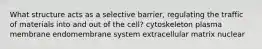 What structure acts as a selective barrier, regulating the traffic of materials into and out of the cell? cytoskeleton plasma membrane endomembrane system extracellular matrix nuclear